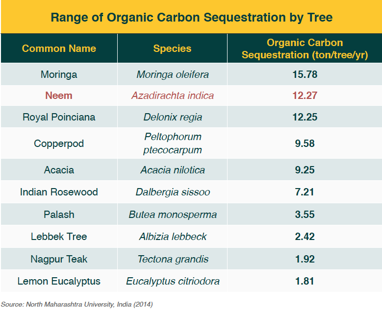 Range of Organic Carbon Sequestration by Tree